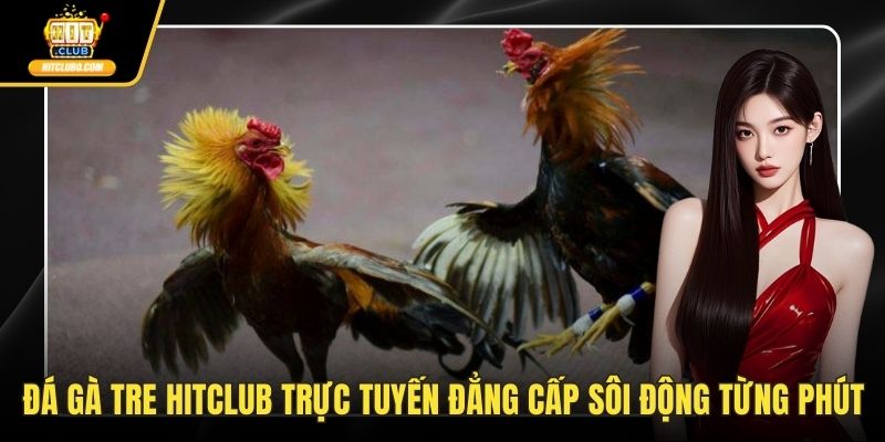 Đá gà tre